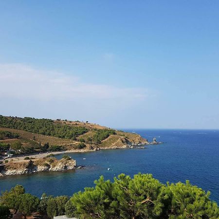 Profitez De La Vue ! Apartamento Banyuls-sur-Mer Exterior foto