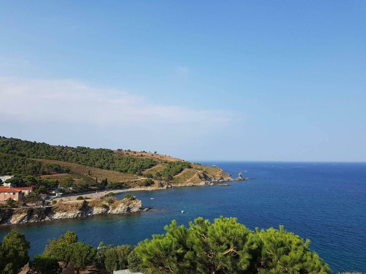 Profitez De La Vue ! Apartamento Banyuls-sur-Mer Exterior foto